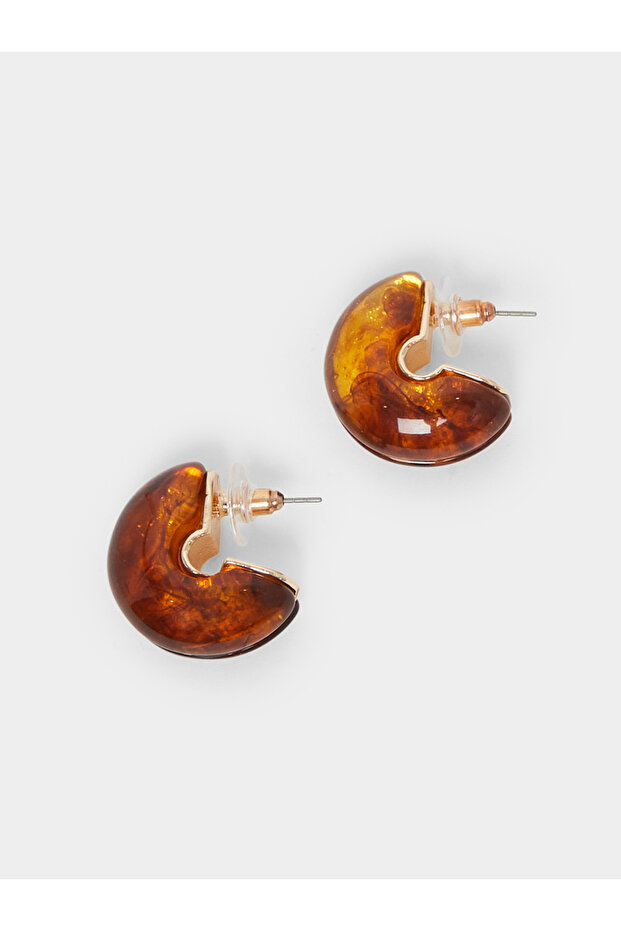 أقراط السلحفاة - 1