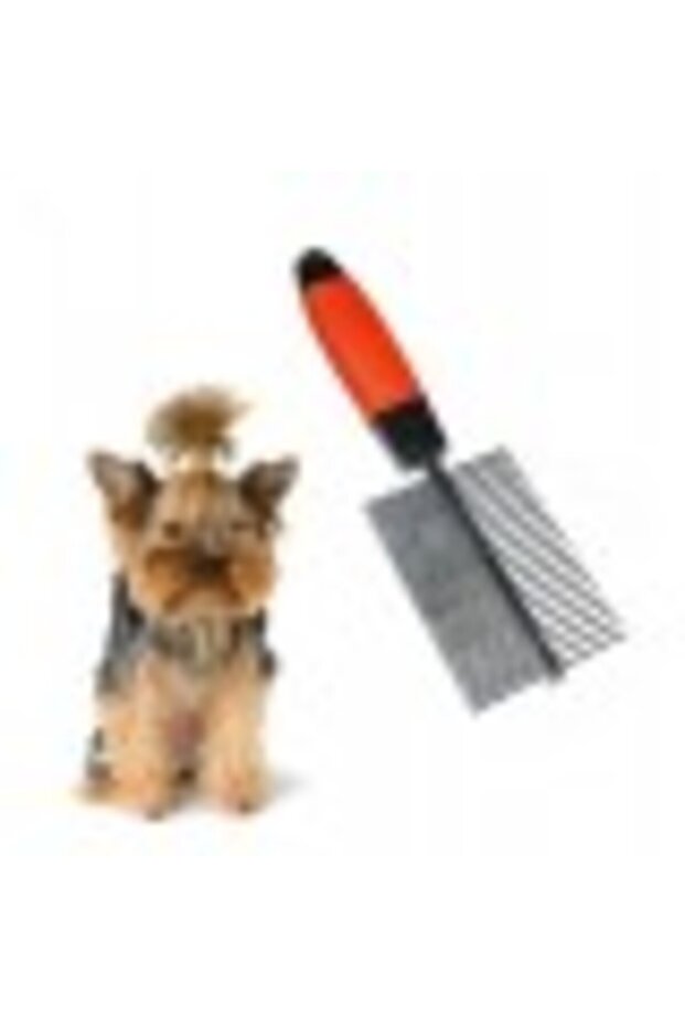 مشط ذو وجهين - 4