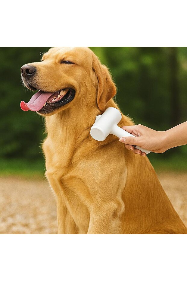 Lint Roller (1 Piece) - 4