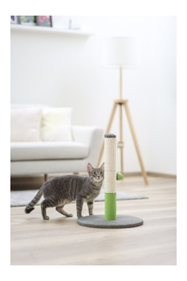 Cat play set - Opal Basic - Green/Gray - 4