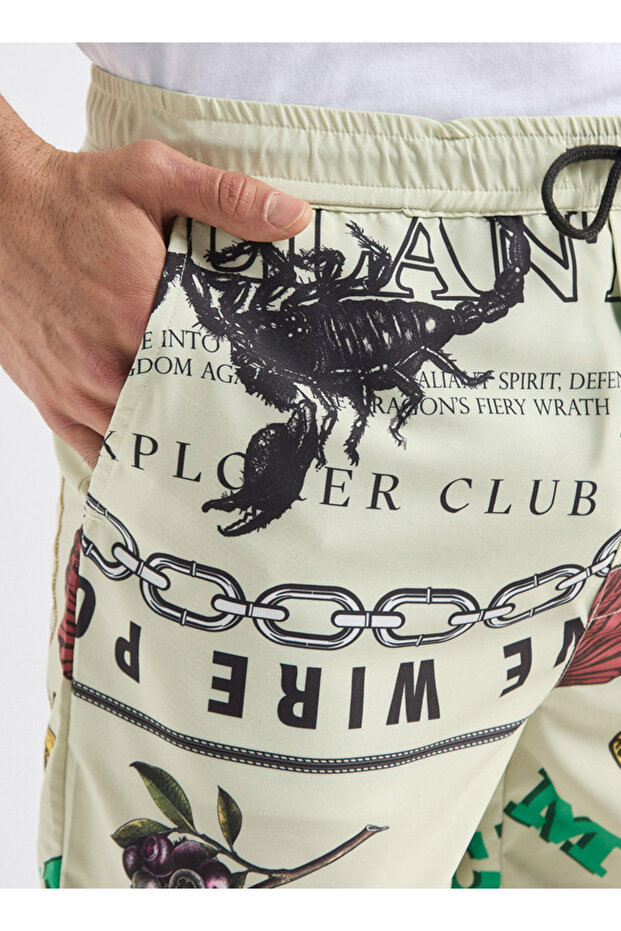 Palm Tree Print Shorts With Drawstring Closure And Pockets - 4