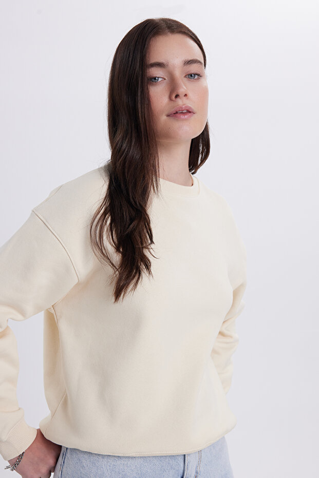 Women's Oversized wide cut cotton crew neck stone sweatshirt