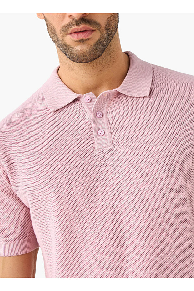 بنية عظم الرنجة - 4