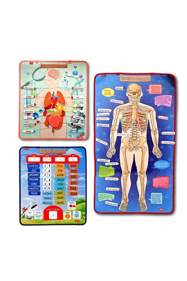 3 Sets - 106 Pieces I'M Learning Internal Organs, Skeletal System, and Calendar Felt Velcro Wall Charts,