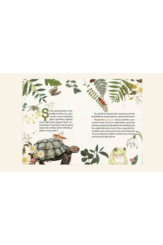 Mevsim Kuşları - 5