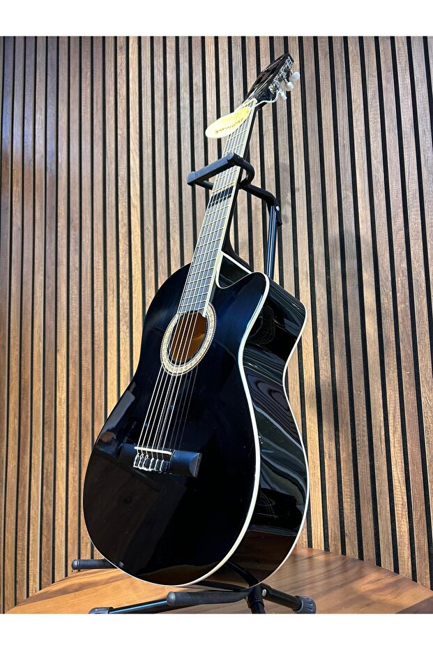 MASTERWORK KLASİK GİTAR - 1