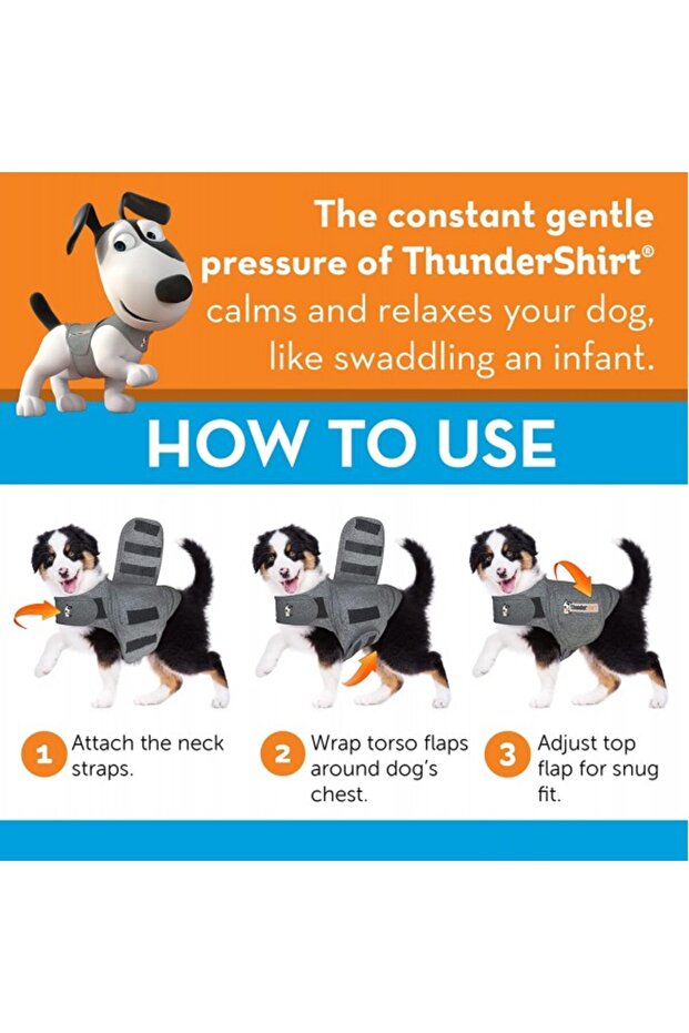 كلب (وردي XS) - 3