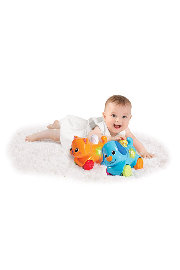 Interactive Puppy - 3