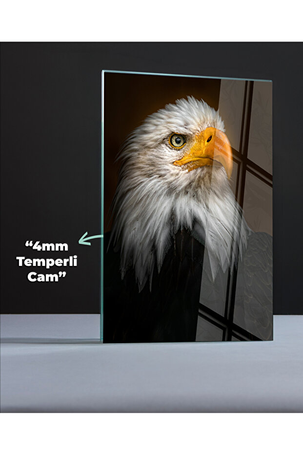 Bald Eagle Cam Tablo - Dekoratif Cam Tablo