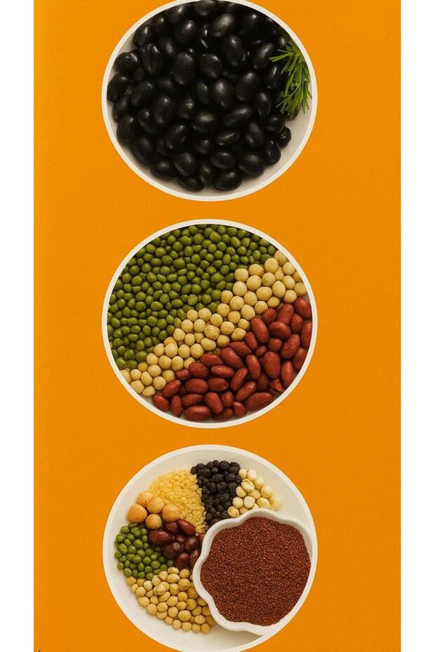 مطحنة كهربائية - 2