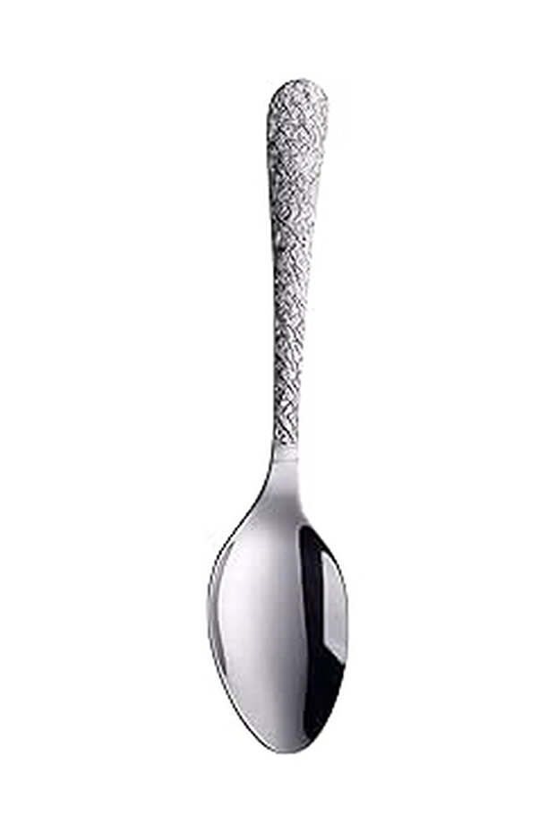 Large Serving Spoon