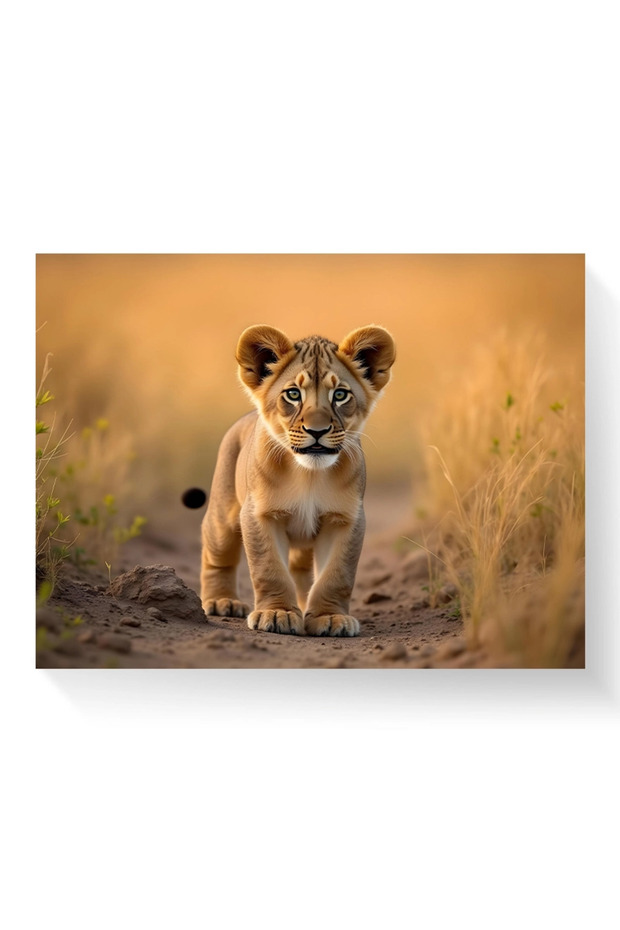 Tablou - Puiul de leu - 3