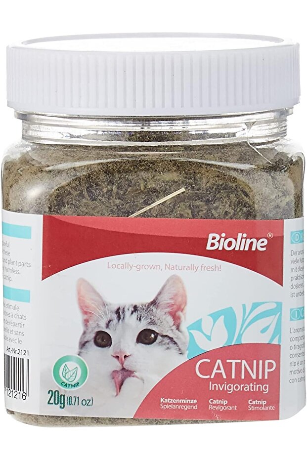 Invigorating Catnip Leaves Powder, Multicolor, 20G