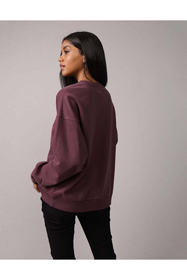 AE Oversized Sweatshirt