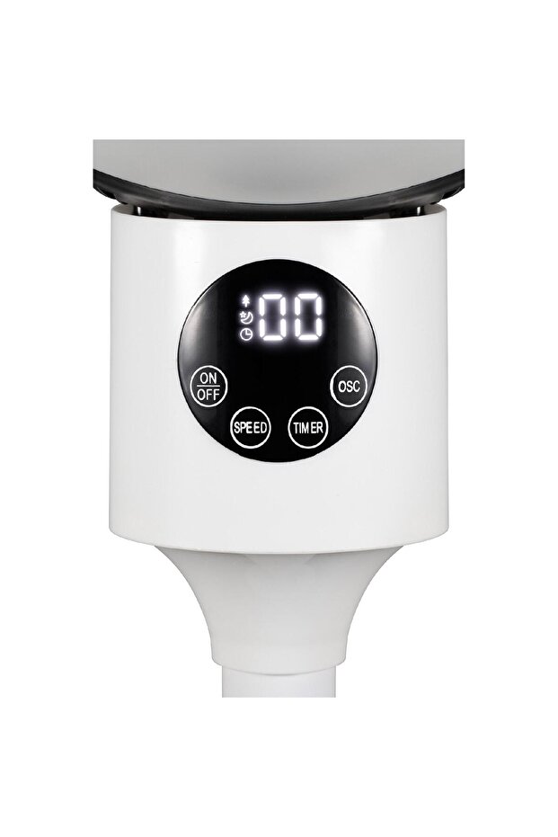 Βαντιλάτρ - 2