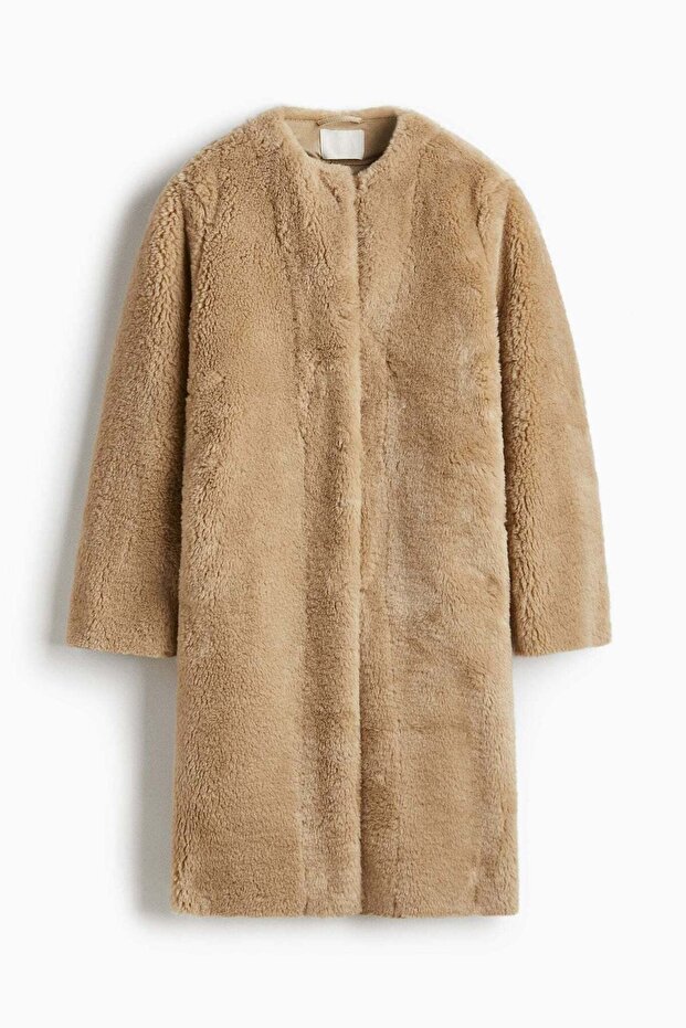 معطف تيدي - 4