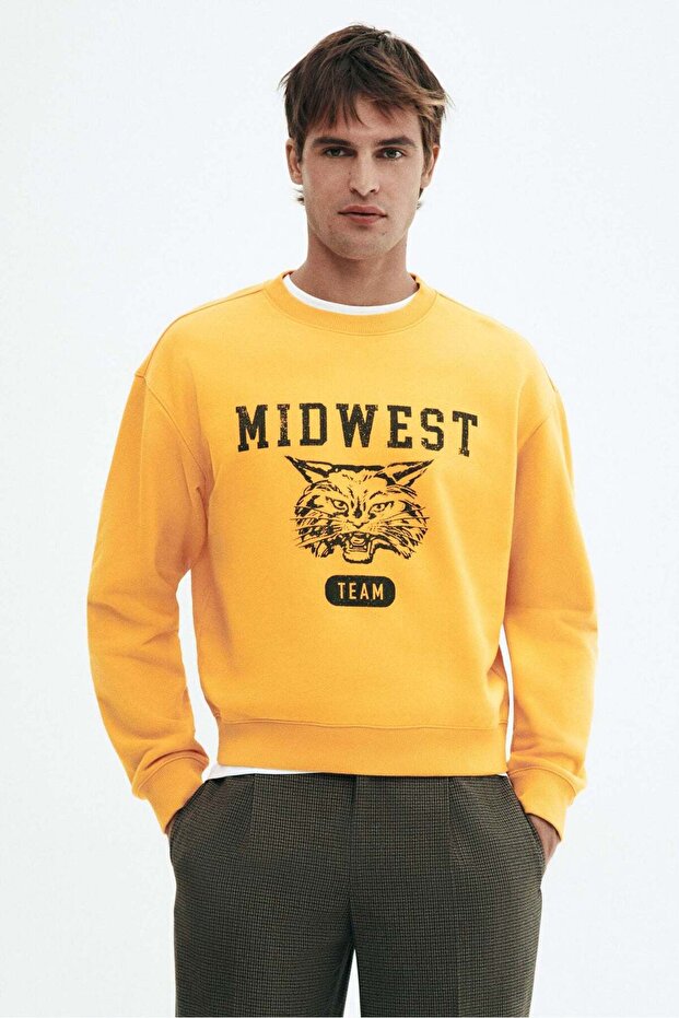 Loose Fit Printed sweatshirt