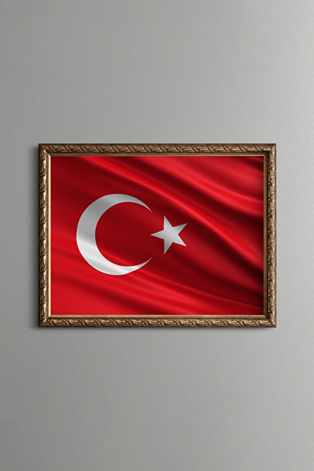 Turkish Flag - Vintage Patterned Frame - 1