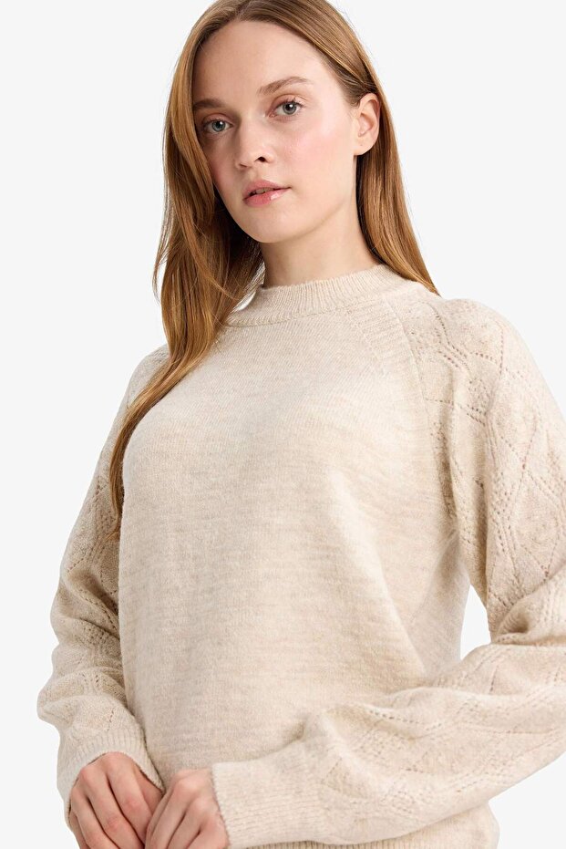 Regular Fit Bisiklet Yaka Triko Kazak F4082AX25WN - 3