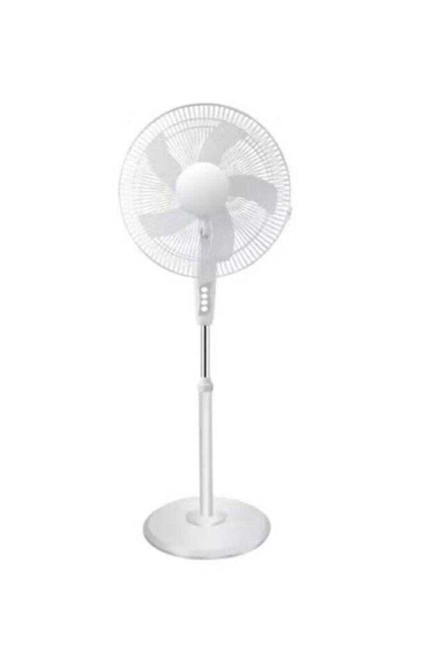 Pedestal fan with oscillating function - 1