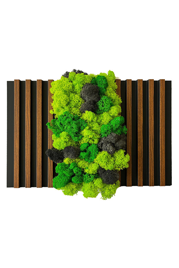 Decorative panel with lichens - 1