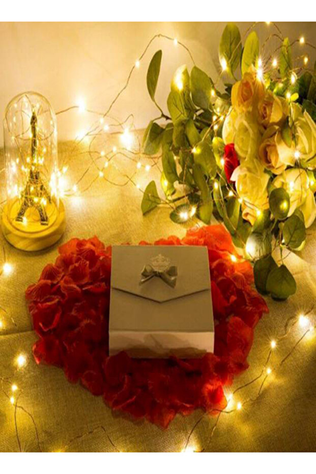 سلسلة أضواء صفراء 100 مصباح ليد 10 أمتار - 5