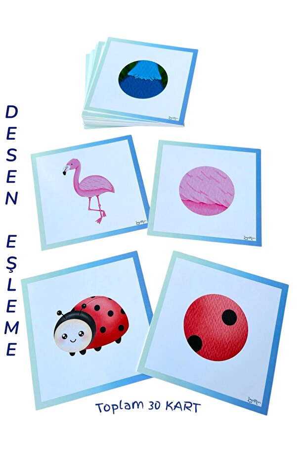 Pattern Matching Cards/ Attention Concentration Activity - 1