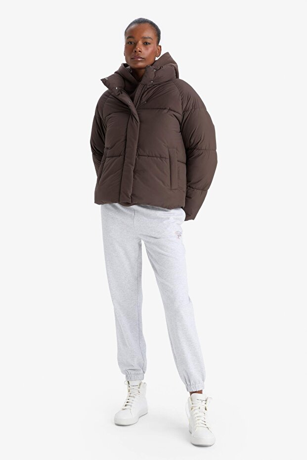 Windproof Water Repellent Regular Fit Stand Collar Raglan Sleeve Winter Puffer Coat A1550Ax25Wn