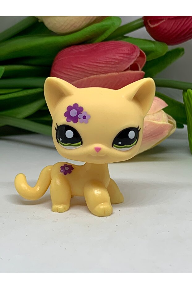 Lps miniş - 1