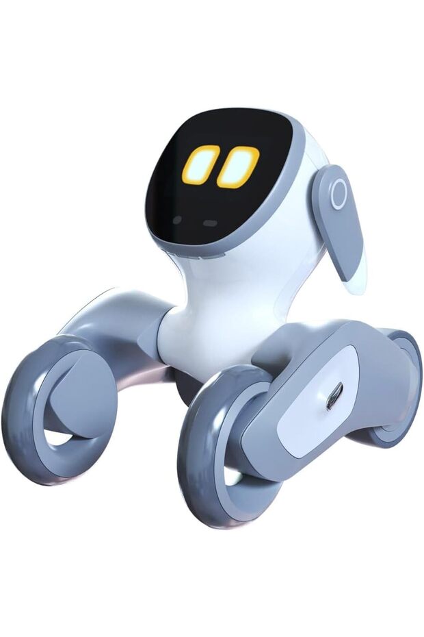 Loona The Petbot – Smart Interactive Robot Pet with Face Recognition & Emotion Intelligence - 1