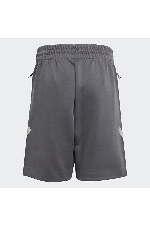 Mercedes - AMG Petronas Formula One Team Silver Arrows Çocuk Şortu - 4