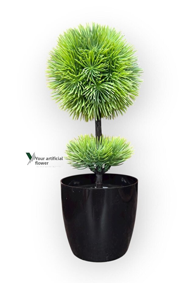 Black Cobalt Ida 25 cm Mini Top Boxwood