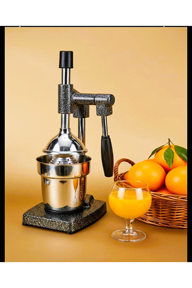 Meyva Presi Ev Tipi Lüx - 1