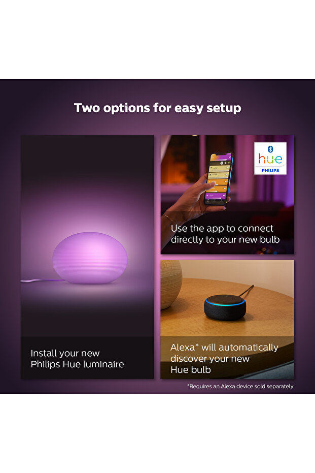 Hue Flourish Masa Lambası - 9