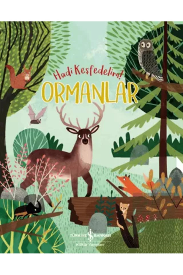 Ormanlar-hadi Keşfedelim!