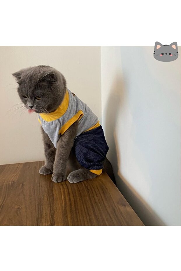 بدلة كاملة مناسبة للقطط والكلاب بنمط روبوتي رمادي اللون - 3