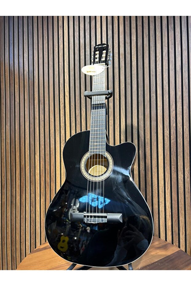 MASTERWORK KLASİK GİTAR - 2