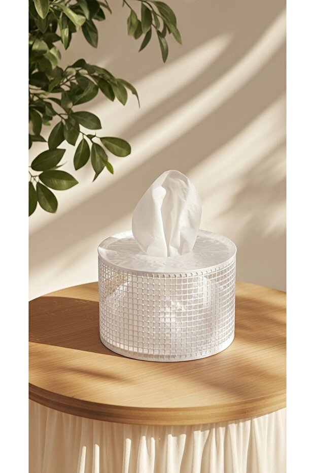 tissue box holder - 1