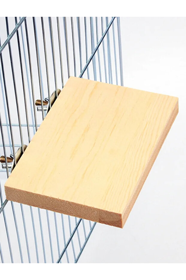 Lovebird Playground 15X9 cm