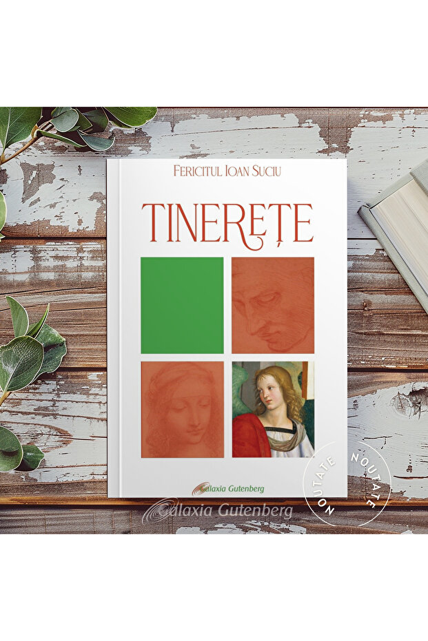Tinereţe, Ediţia a II a - 2