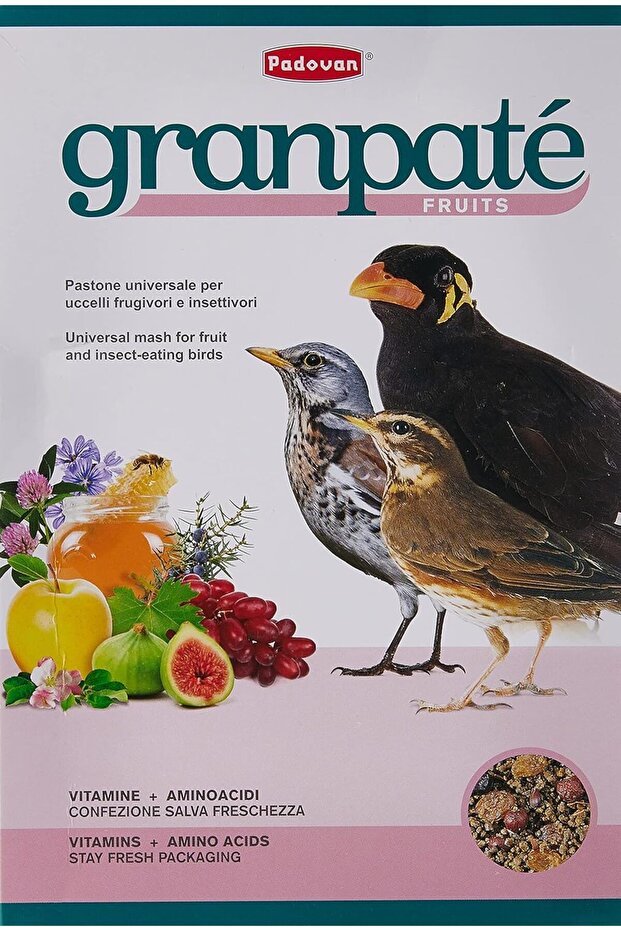 Padovan GranPâtée Fruits Feed, Multi-Colour, 1 KG,8001254001920