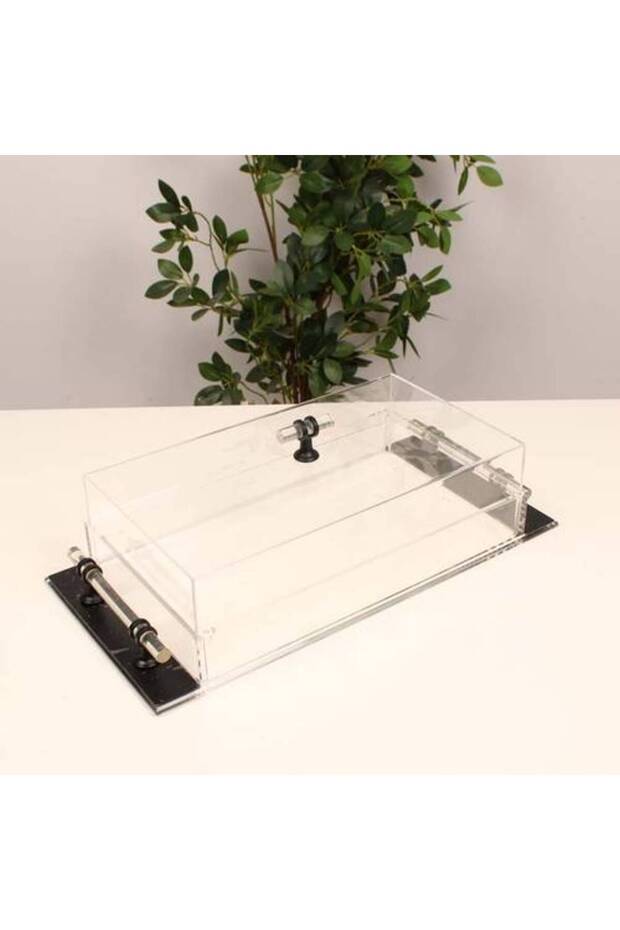 Serving tray with lid 20*41 cm