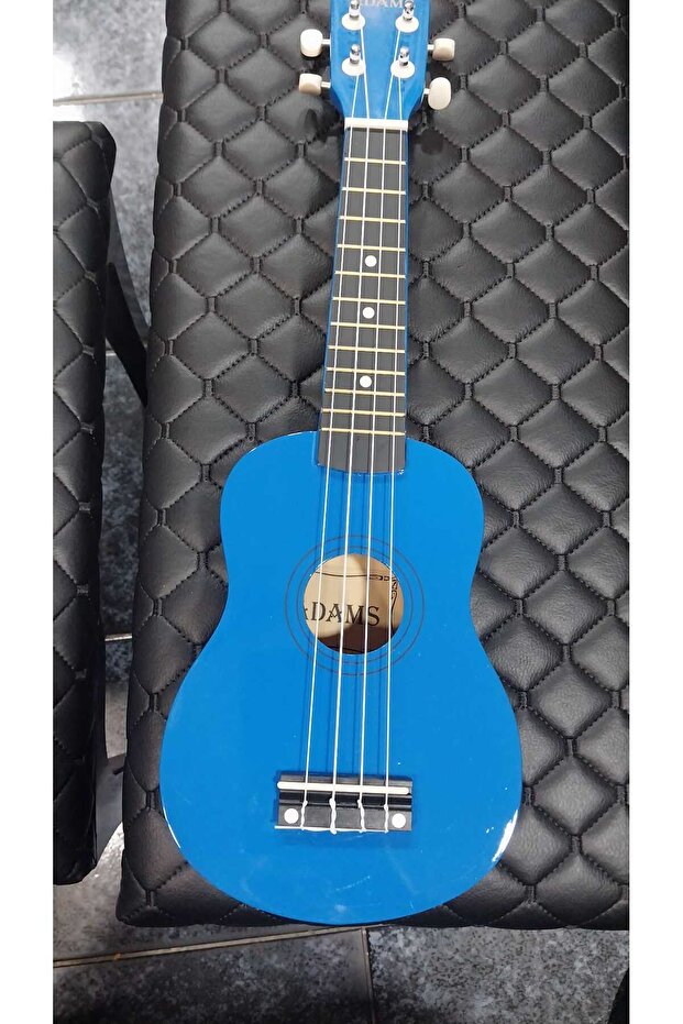 يوكوليلي (مع حقيبة) - 2