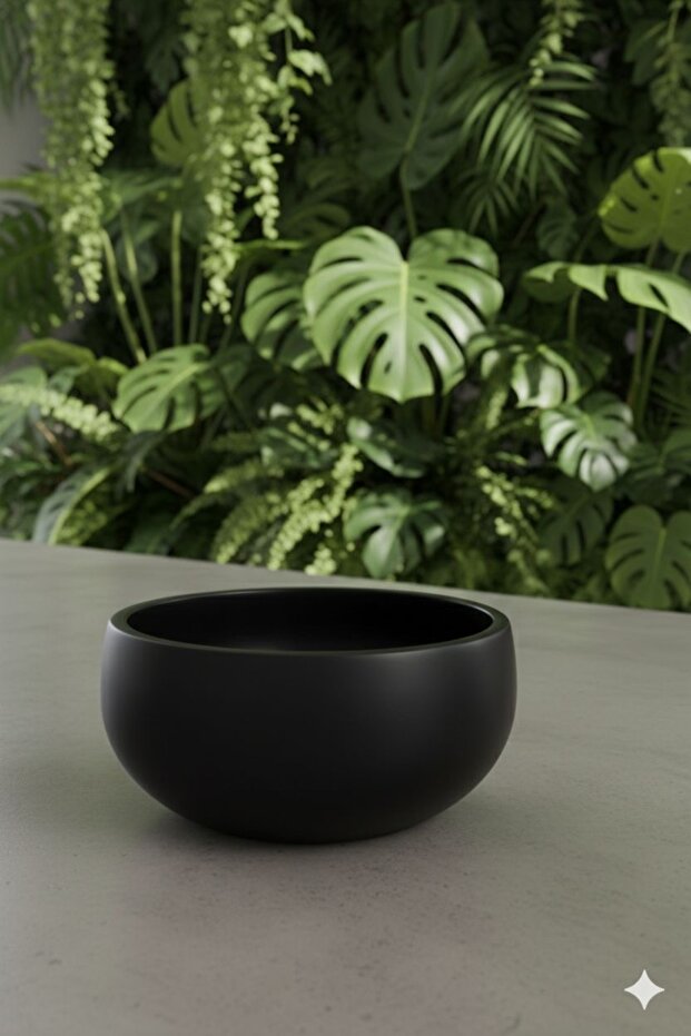 Masaüstü Bonsai saksı - 3