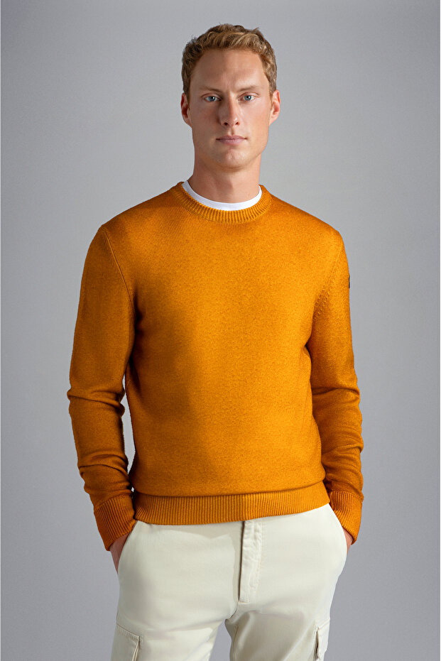 MEN'S KNITTED ROUNDNECK C.WWOOL