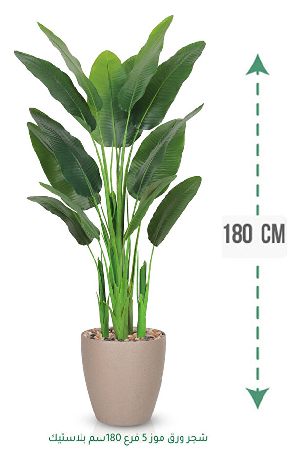 شجرة ورق موز اصطناعية ( ارتفاع 180 سم ) حوض بلاستيك