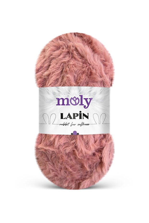 LAPİN - 1