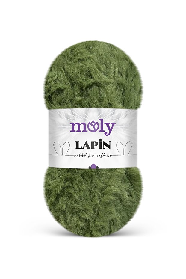 LAPİN - 1