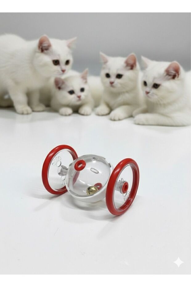 لعبة مكافأة القط الدوارة التفاعلية - 5