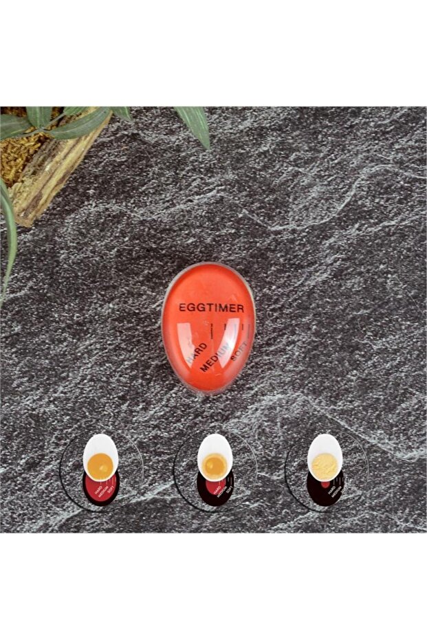 Egg Timer - 1